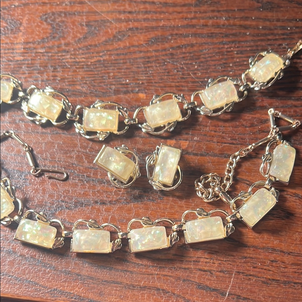 Elegant Coro confetti Lucite set❤️